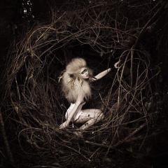 アメリカズネクストトップモデル(ANTM)好きな人ー話しましょ！