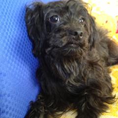 岩手の人この指と〜まれ