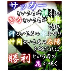 サッカー少年、青年、大人の方かも〜ん