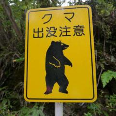 食べちゃってもいいかな？