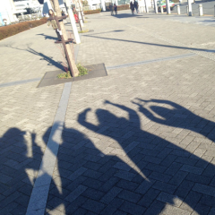 あやえる