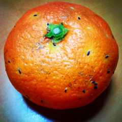 755はエロ枠にしないと人が来ないのかね？