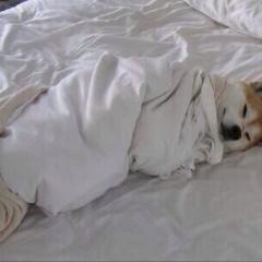 真夜中のSJナイトフィーBAR