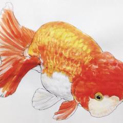 仕事頑張ってください！