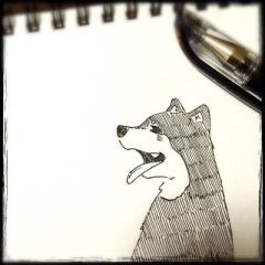 すーちゃこりんのトーク