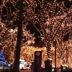 宮城県民～！！あんどセカオワ大好きなひと～！中学生！かむおん！w