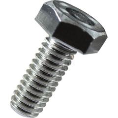 睾丸ブロッコリー