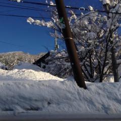 スノボの話ししましょ〜*\(^o^)/*