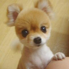 暇人あつまれ🐑♡