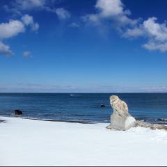 雪と海の会