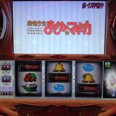 黒いラブラドールのトーク