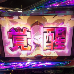 スロット愛好家