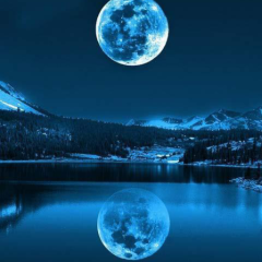 土佐人の土佐弁ばなし