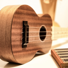 ウクレレ大好き部屋