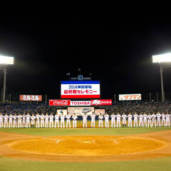 ヤクルトファン(燕党)の人絡みましょー！w