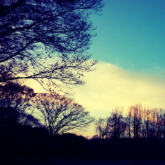 あいるのトーク