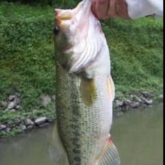 釣り好きな人まぢきてーー！