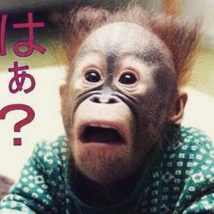 ガキ使について語り合いましょう！