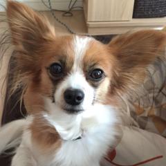 ラーメン姉さん#彼は無神経