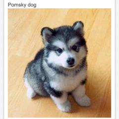 誰かヒマな人居てる？