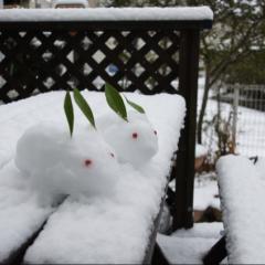 今年は！ダイエットするぞ〜