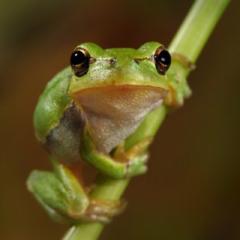 (｀・∀・)ﾉｲｪ-ｲ！