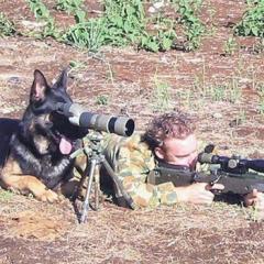 面白い四コマ貼ってく