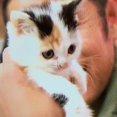 めぐのトーク