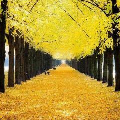 ストレス発散。あと、見た人はコメントよろしく！