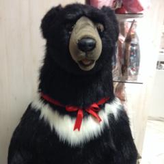 くまさん