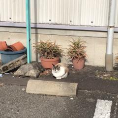 名古屋の高校生きてー
