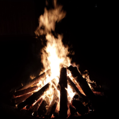 りゅうじーのトーク