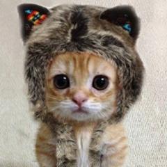 りょう
