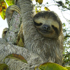 誰でもおけ(゜∇^d)!!