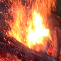 ココアは成分無調整牛乳派です。