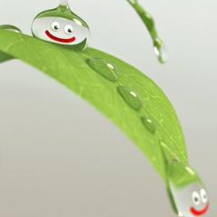 ツユ