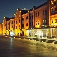 ぴよぴよ丸のトーク