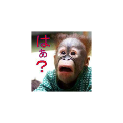 １度切りの【錬金術】伝授します!!