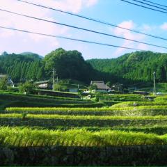 okuragamuのトーク