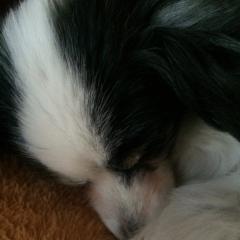 あーやんのトーク