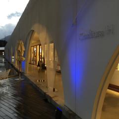 愛知の人でトーク🎵