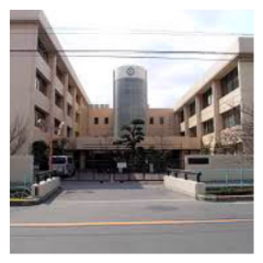 金光八尾の中学生おる？