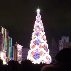 サイティングのトーク