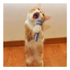 友達募集中女性の方優先です。((o(^∇^)o))ハハハ