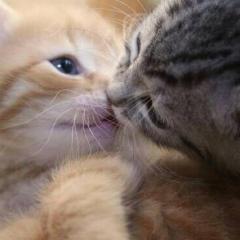 暇人さん誰でもおいで♪