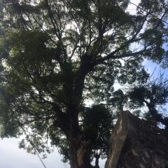 ゴッドイーター2トーク