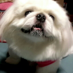 かっちゃんのトーク