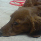 なぎさ中間のトーク