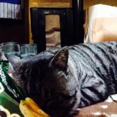 龍海(皆皆大好き)