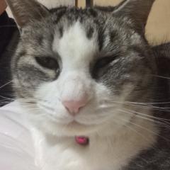 ナオ。